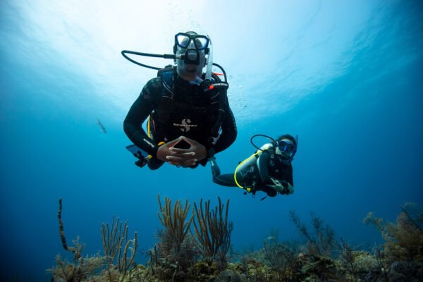 Open Water Referral