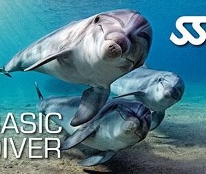 SSI Basic Diver Program