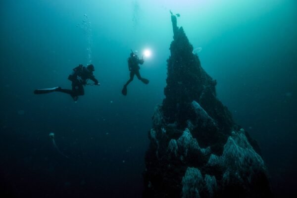 Night Diver - Image 2
