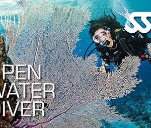 SSI Open Water Diver Course
