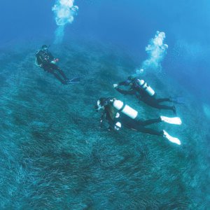 PADI deep diver
