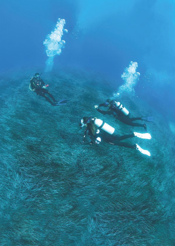 PADI deep diver