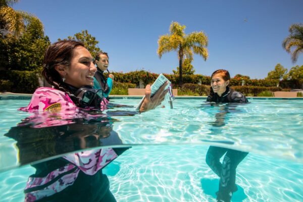 PADI Scuba Diver