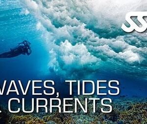 SSI Waves, Tides and Currents Diver