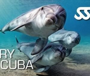 SSI Try Scuba Program