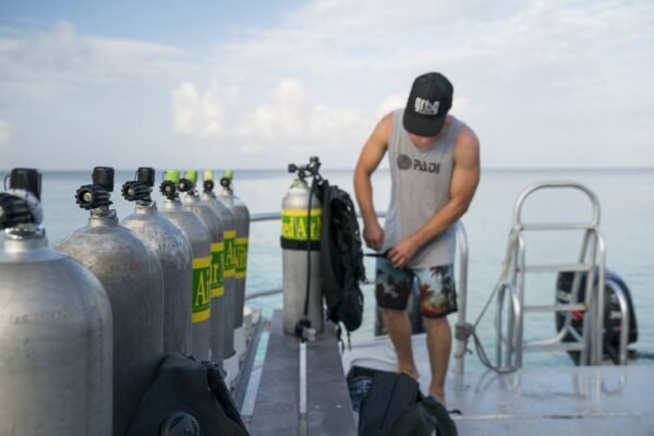 Nitrox Course (dry) - Image 2