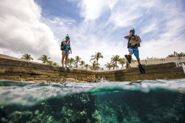 Single Shore Dive