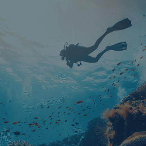 Thistlegorm Wreck (2 wreck dives)